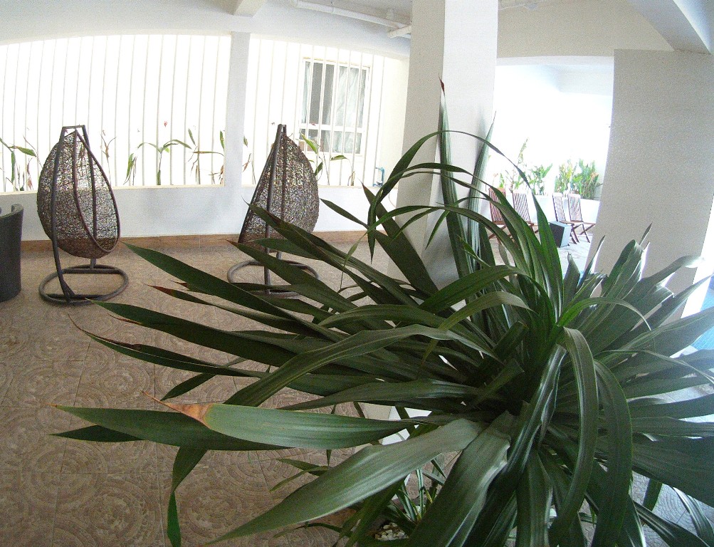Spacious 3 bedroom apartment near Russian Market | Phnom Penh