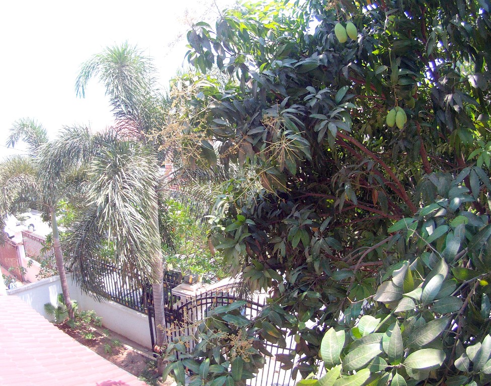 Large villa in quiet Borey | Phnom Penh