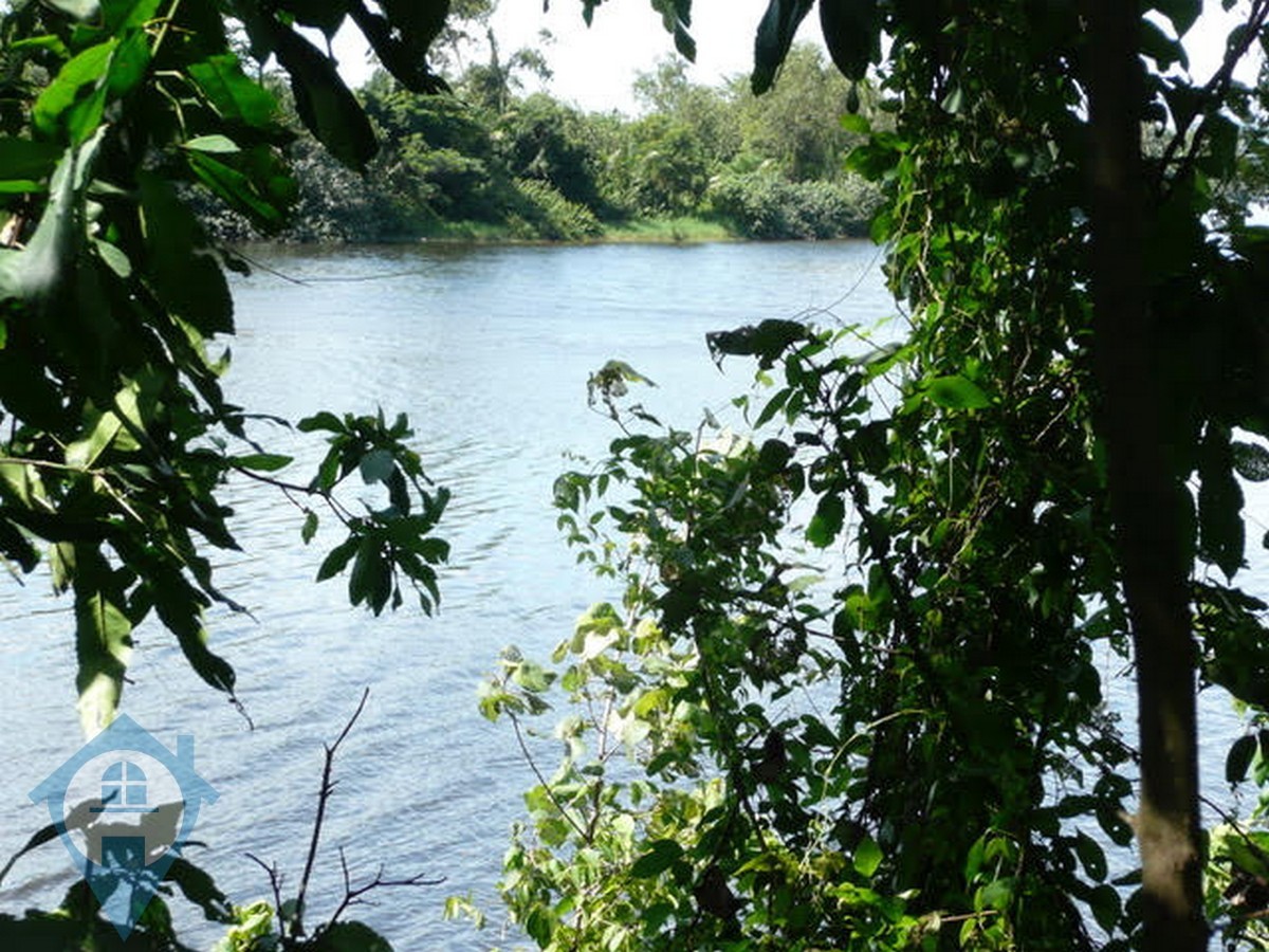 ''River Frontage Land For Sale in Kampot | Cambodia Real Estate''