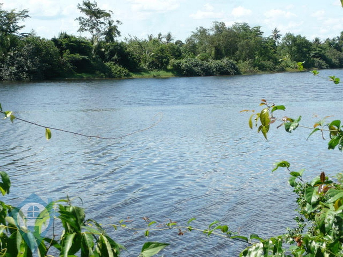 ''River Frontage Land For Sale in Kampot | Cambodia Real Estate''